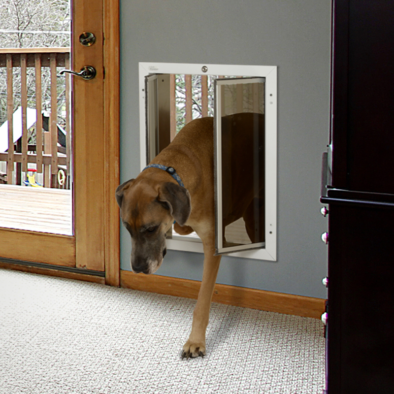 PlexiDor Hundedøre Køb din hundedør hos plexidors.dkPlexiDor PetDoor